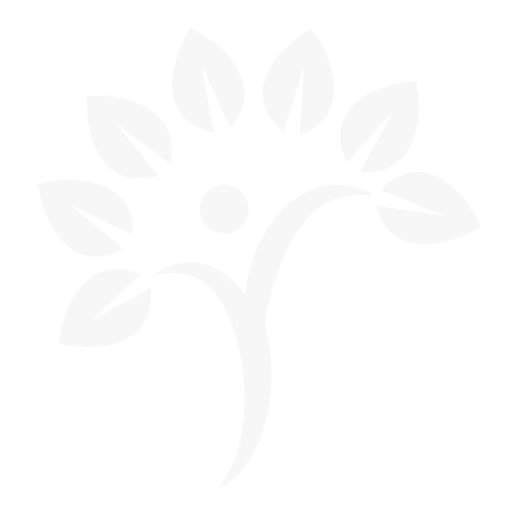 Live Healthy Functional Medicine